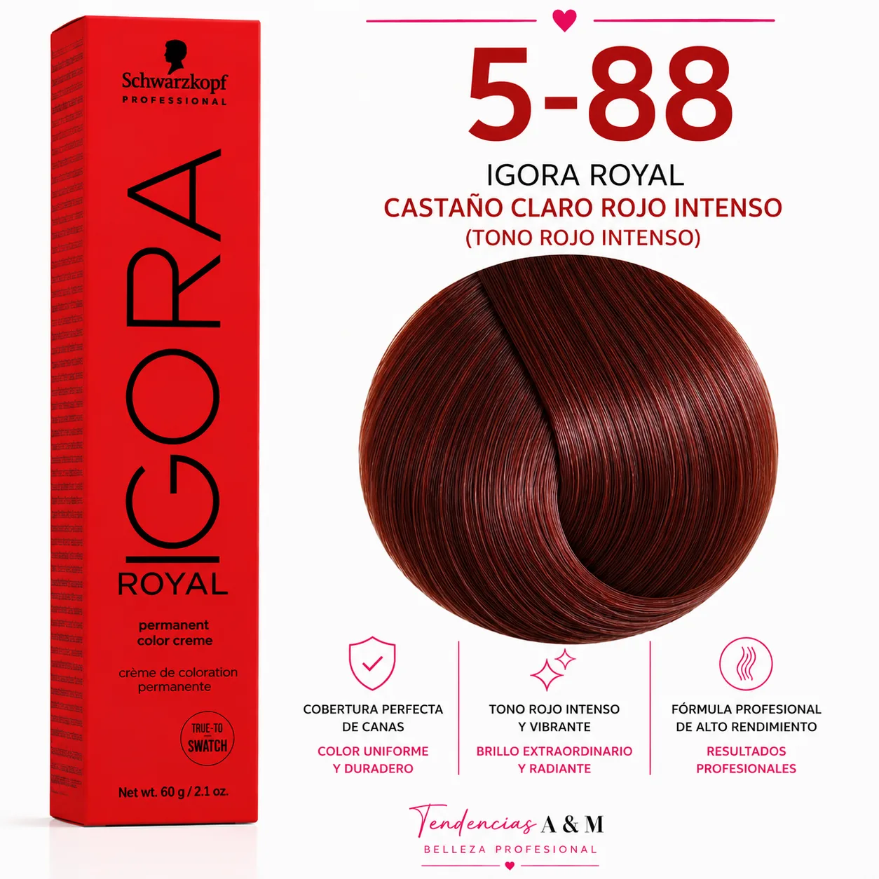Igora Royal 5-88 – Castaño Claro Rojo Intenso | Tinte Permanente Profesional